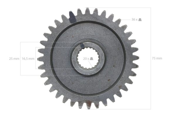 Gear 36TX20T
