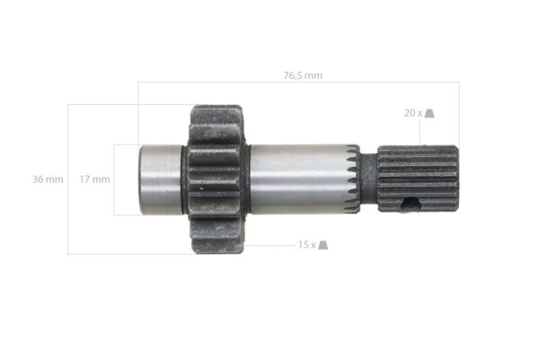 Gear