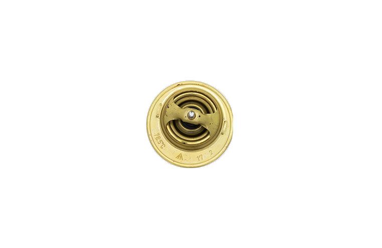 Thermostat Iseki TA, TE, TH, TXG, TM, TL, TU, SF, SG, SGR, E3CC, E3CD, E3CF, E255, E262, E393, E3100, E3112