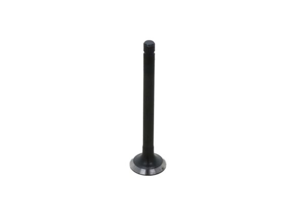 Kubota Exhaust Valve ZL600