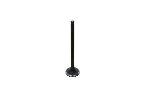 Perkins Inlet valve  403D-15T