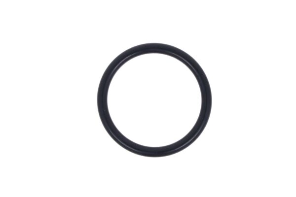 O-Ring lifting cylinder Iseki TU, TS, TX, Bolens, Massey Ferguson, White, Kubota B-Series - Image 2