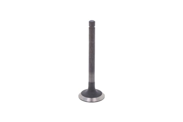 Exhaust valve Kubota Z602, D902