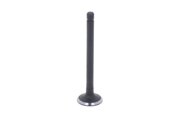 Exhaust Valve Kubota D1703, V1903 - Image 2