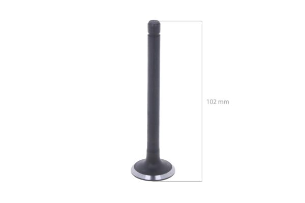 Exhaust Valve Kubota D1703, V1903