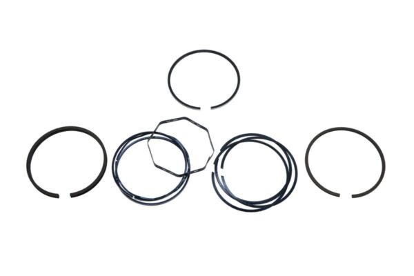 Piston, Ring & Liner Kit Ford / New Holland,Perkins - Image 2