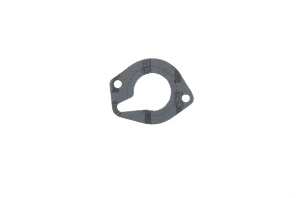 Thermostat gasket Landini, MF, Perkins