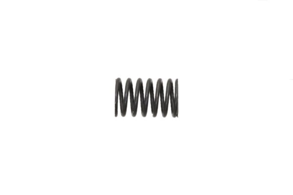 Valve spring inner