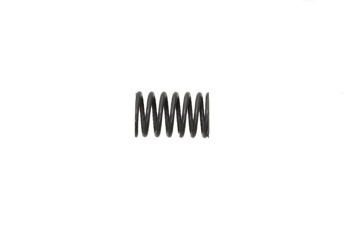 Valve spring inner