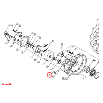 Banjo bolt M8x1mm Captain 260, 273, Startrac 273, 