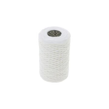 Fuel Filter - Element