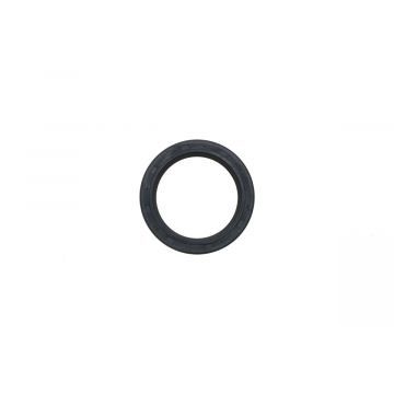 Oil seal Iseki