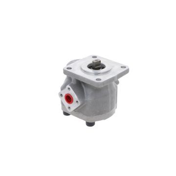 Hydraulic pump Iseki TU, TX, Bolens, Massey Ferguson, Mitsubishi, Satoh, White