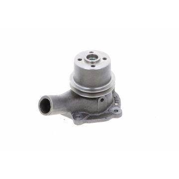 Water Pump Assembly David Brown, Case, Case IH