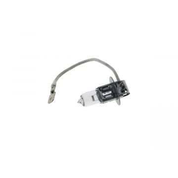 Light Bulb 12V 55W PK22S